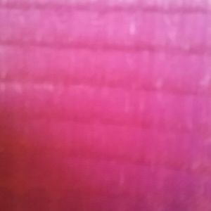 Meet your Posher, Susie